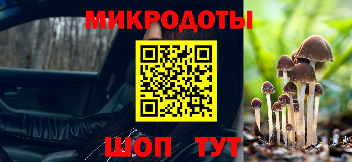 Псилоцибиновые грибы GOLDEN TEACHER Красноперекопск